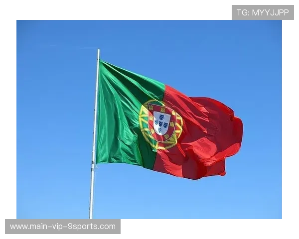 葡萄牙申请追加报告 葡萄牙申请追加报告