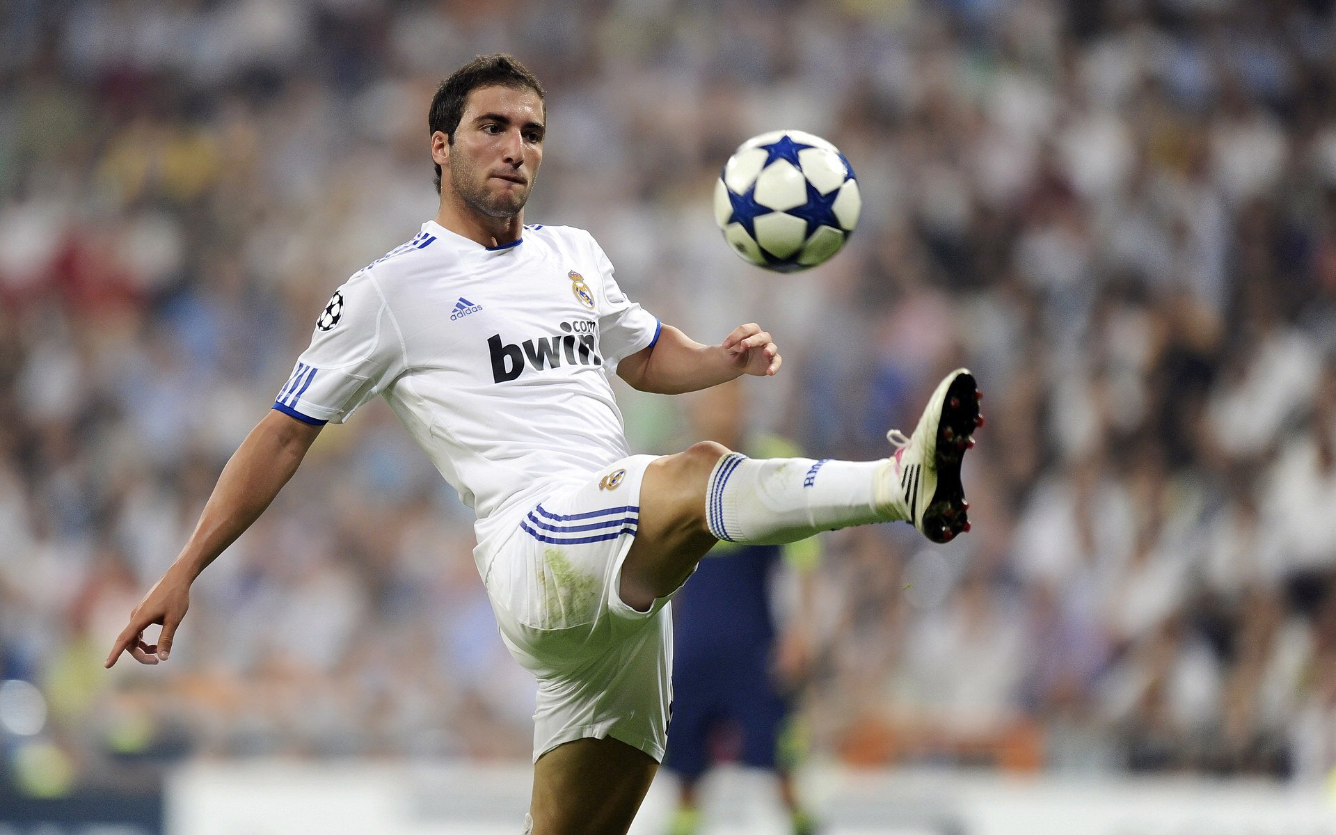 九游下载官方正版-勇士队追逐联盟纪录，皇冠梦在望，勇士队总冠军视频